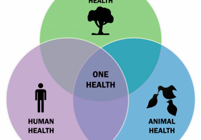 Venn diagram from Zoonotic Diseases and Our Troubled Relationship With Nature